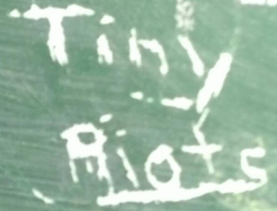 logo Tiny Riots